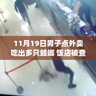 男子外賣驚現多只蟑螂引發食品安全警鐘事件，飯店遭查背后真相揭秘