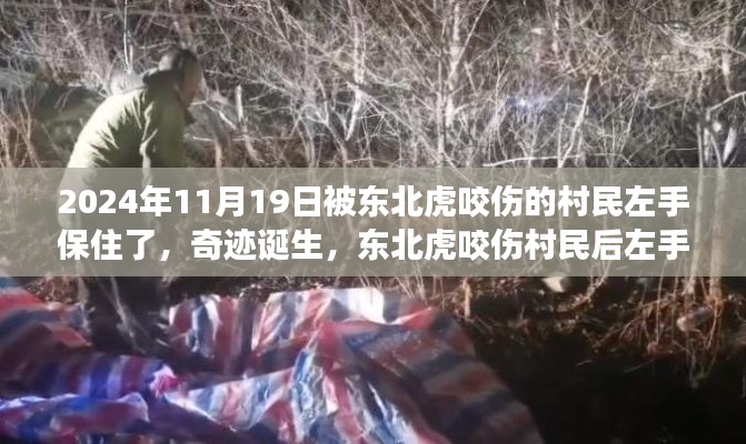 第3824頁