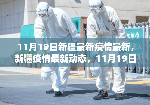 新疆疫情最新動態，11月19日抗疫進展與影響概述