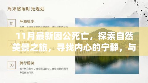 因公死亡后的重生之旅,探尋自然美景,尋求內(nèi)心寧?kù)o,告別塵世紛擾