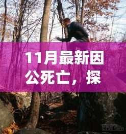 因公死亡后的重生之旅,探尋自然美景,尋求內(nèi)心寧靜,告別塵世紛擾
