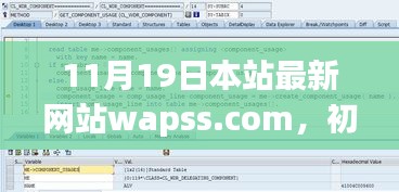初學(xué)者與進(jìn)階用戶必看,最新網(wǎng)站wapss.com使用指南全攻略
