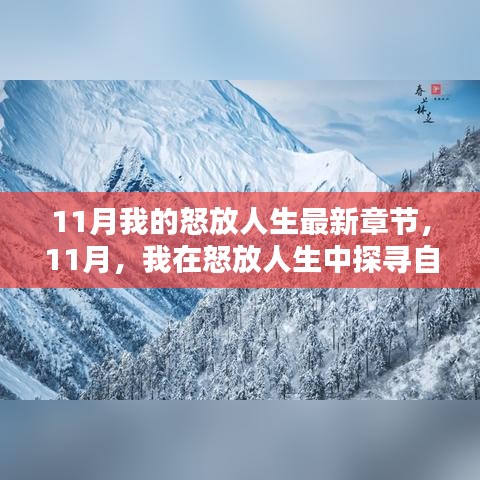 11月探尋自然秘境,怒放人生中的內(nèi)心寧靜與平和