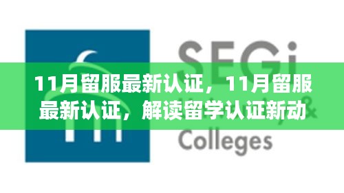 解讀最新留服認證動態，助力留學生職業發展，十一月留學認證更新概覽