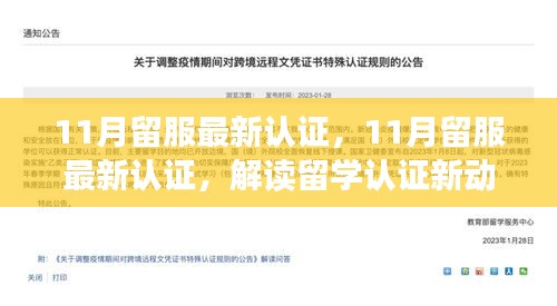 解讀最新留服認(rèn)證動(dòng)態(tài),助力留學(xué)生職業(yè)發(fā)展,十一月留學(xué)認(rèn)證更新概覽