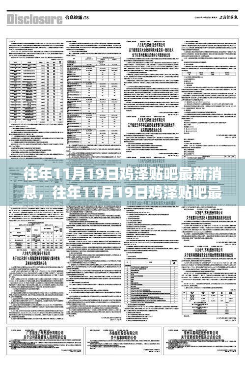 往年11月19日雞澤貼吧最新消息全掌握，獲取攻略與詳解