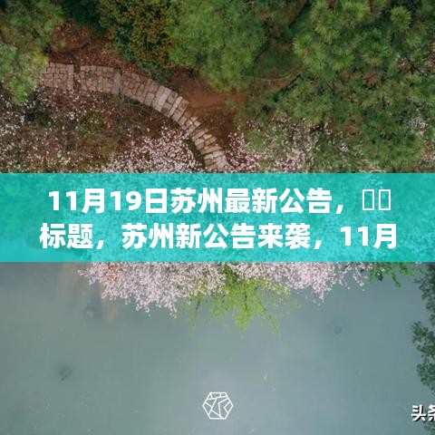 蘇州11月19日最新公告，自然秘境探索之旅，心靈寧靜之旅啟程