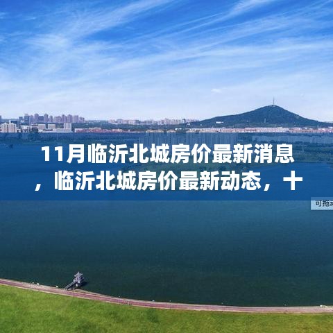 臨沂北城房價最新動態(tài)與深度觀察,十一月房價消息一覽