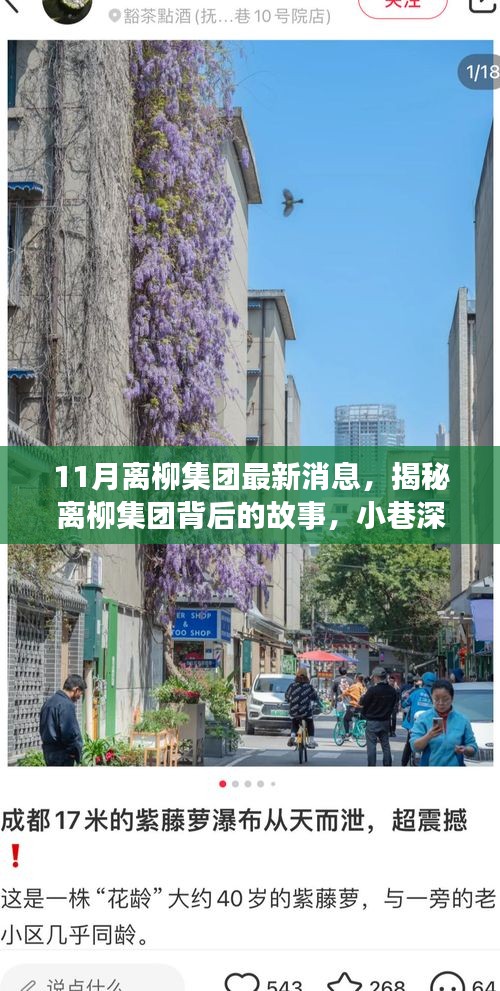 離柳集團最新揭秘,小巷深處的獨特風味小店十一月探訪之旅