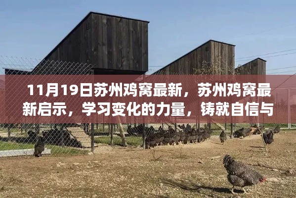 蘇州雞窩最新啟示，學習變化的力量，鑄就自信與成就之路