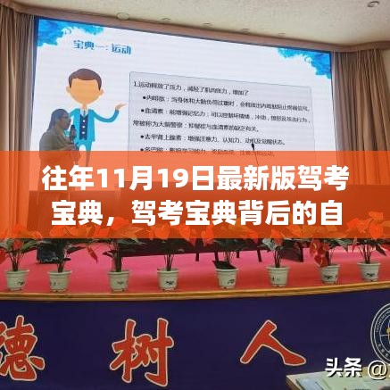 駕考寶典背后的自然之旅，心靈與風景的奇妙探險