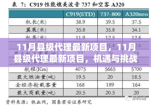 11月縣級代理最新項目,機遇與挑戰并存