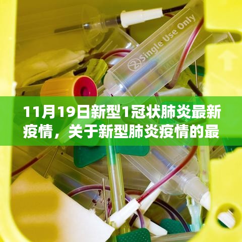 11月19日新型肺炎疫情最新動(dòng)態(tài)觀察報(bào)告