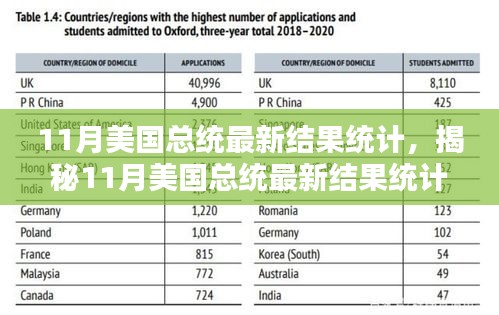 揭秘11月美國總統(tǒng)大選最新結(jié)果統(tǒng)計(jì),深度分析與熱議話題的背后揭秘