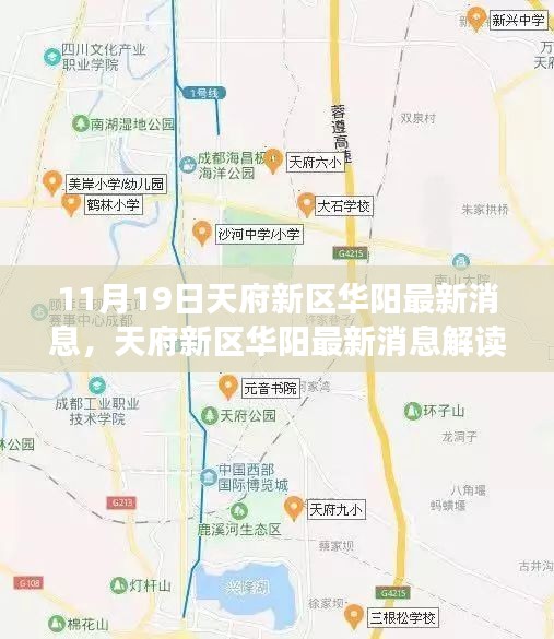 天府新區華陽最新動態解讀與行動指南(11月19日更新)