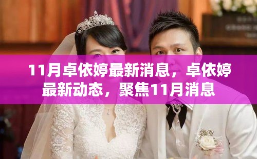 卓依婷11月最新動態與消息聚焦