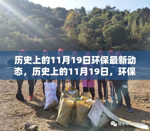 歷史上的環保新篇章,11月19日的綠色動態與挑戰中的自信成就未來。