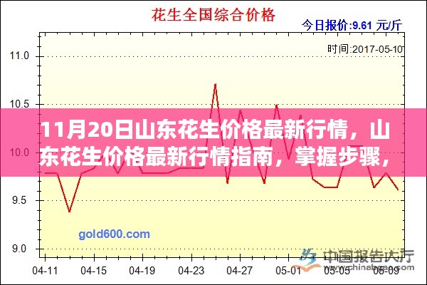 山東花生最新行情解析,掌握價格走勢,洞悉市場動態(11月20日)