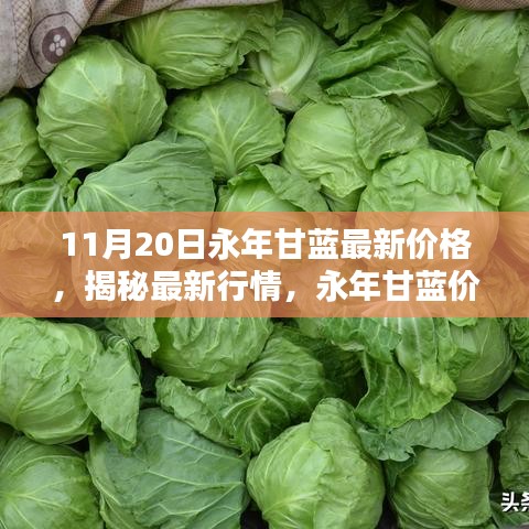 夫妻本是同林鳥 第7頁