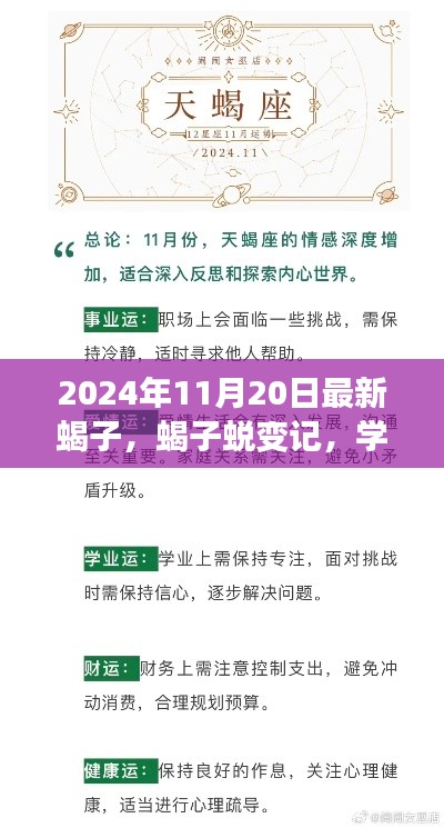 蝎子蛻變之旅,學習變化中的自信與成就感探尋(2024年11月20日最新)