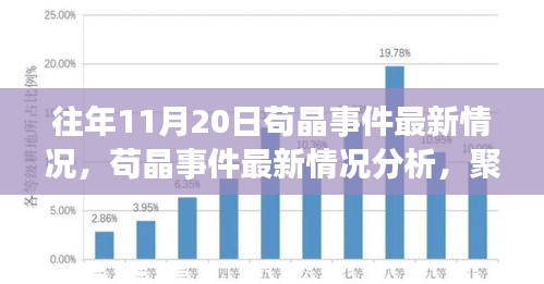 茍晶事件最新動(dòng)態(tài)與觀點(diǎn)聚焦,最新情況分析與聚焦某某觀點(diǎn)