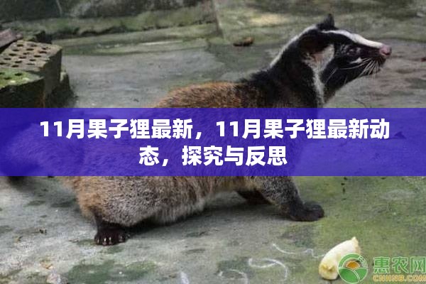 探究與反思,最新動態下的果子貍生存狀況觀察(11月最新資訊)