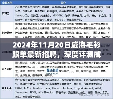 威海毛衫跟單最新招聘深度解析,特性、用戶體驗與目標受眾分析