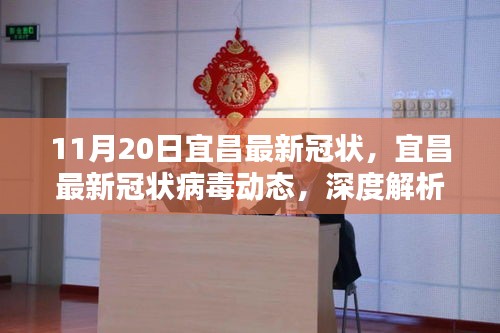 宜昌最新冠狀病毒動態(tài)深度解析與案例分析(11月20日更新版)