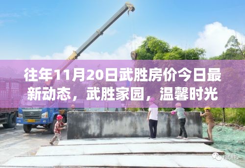 往年11月20日武勝房價今日最新動態(tài),武勝家園,溫馨時光與房價的微妙交響曲