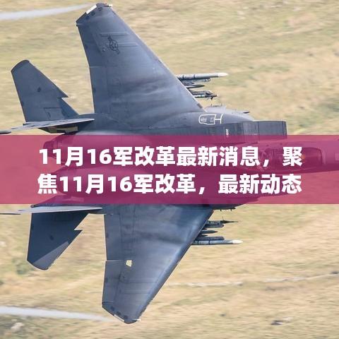 深度解讀，聚焦11月16日軍隊改革最新動態與深度解讀