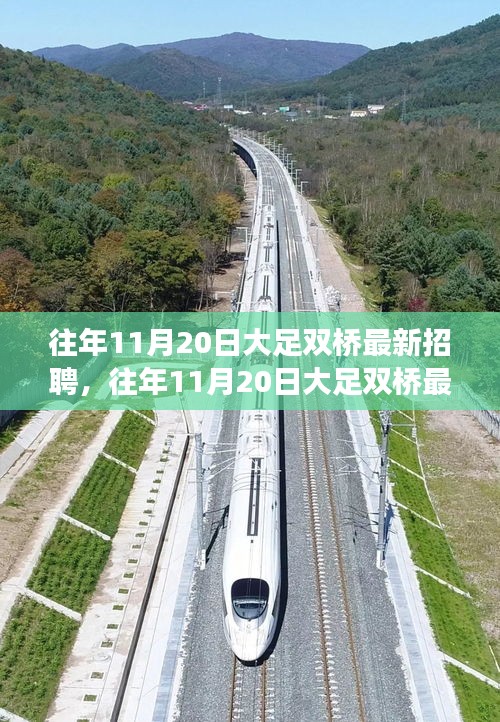 往年11月20日大足雙橋最新招聘市場深度解析與測評(píng)報(bào)告
