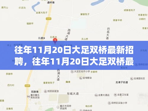 往年11月20日大足雙橋最新招聘市場深度解析與測評(píng)報(bào)告