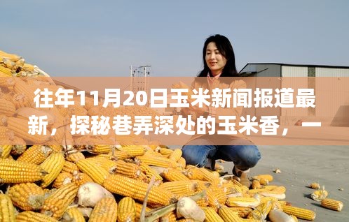 探秘巷弄深處的驚喜小店,往年玉米新聞回顧與隱藏式特色小店的玉米香之旅