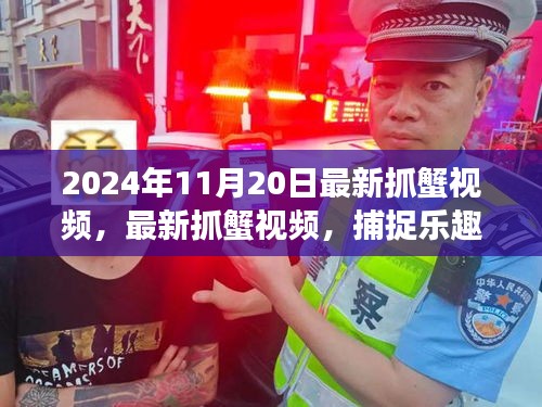 最新抓蟹視頻，捕捉樂趣與生態平衡交織的探討