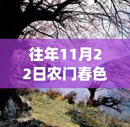 農門春色,暖陽下的秋日趣事與深厚友情最新章節發布(XXXX年XX月XX日)
