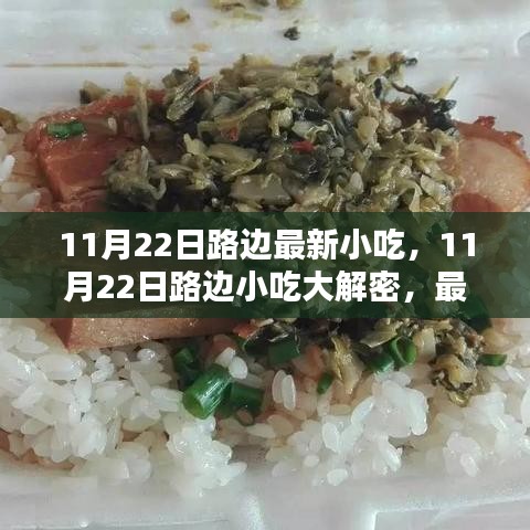 揭秘11月22日路邊最新小吃,深度評測與介紹