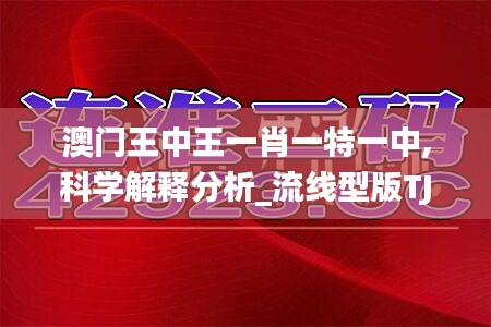 澳門王中王一肖一特一中,科學解釋分析_流線型版TJE5.84