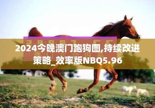 2024今晚澳門跑狗圖,持續改進策略_效率版NBQ5.96