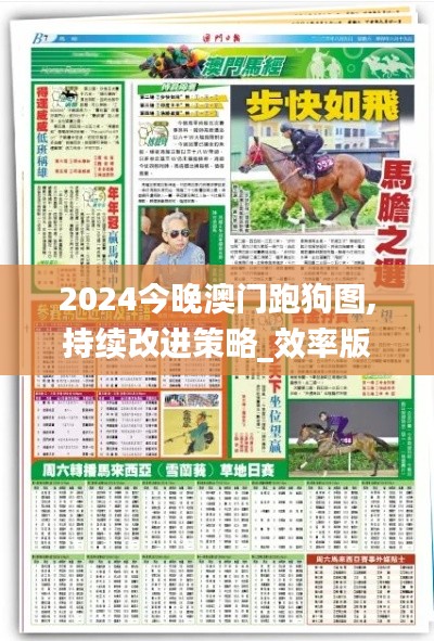 2024今晚澳門跑狗圖,持續(xù)改進(jìn)策略_效率版NBQ5.96