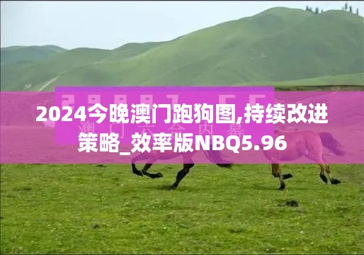2024今晚澳門跑狗圖,持續(xù)改進(jìn)策略_效率版NBQ5.96
