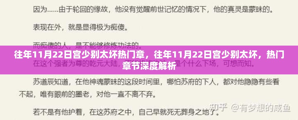 往年11月22日宮少別太壞熱門章節深度解析與回顧