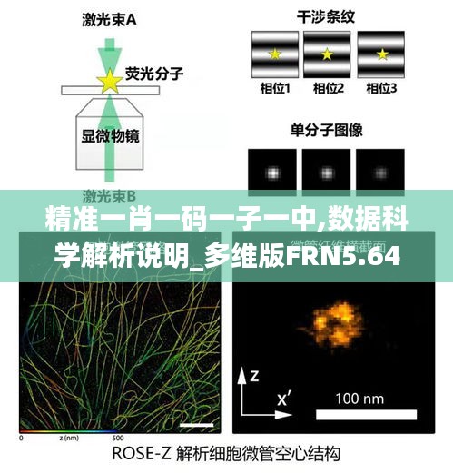精準一肖一碼一子一中,數據科學解析說明_多維版FRN5.64