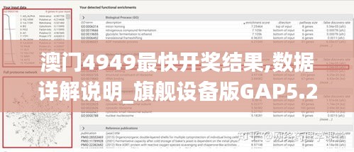 澳門4949最快開獎結果,數據詳解說明_旗艦設備版GAP5.24