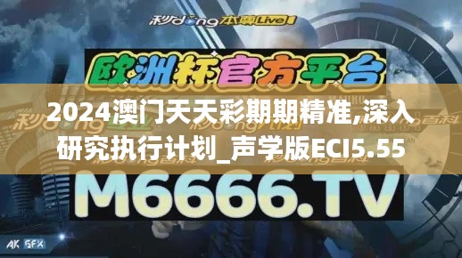 2024澳門天天彩期期精準,深入研究執行計劃_聲學版ECI5.55