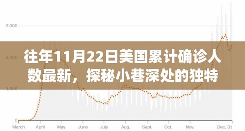 美國累計(jì)確診人數(shù)背后的故事,探秘獨(dú)特小店與驚喜發(fā)現(xiàn)