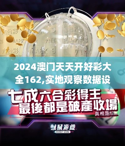 2024澳門天天開好彩大全162,實地觀察數據設計_語音版KJE5.65