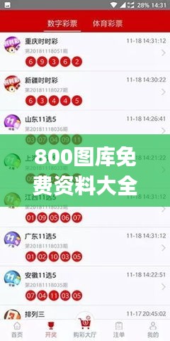 800圖庫免費(fèi)資料大全,直播全面解答是什么軟件_夢(mèng)想版FSX5.20
