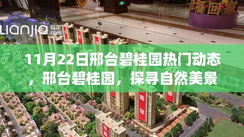邢臺碧桂園,探尋自然美景的心靈寧靜之旅(11月22日熱門動態)
