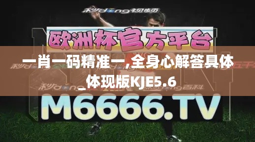 一肖一碼精準(zhǔn)一,全身心解答具體_體現(xiàn)版KJE5.6