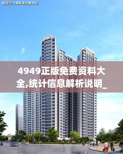 4949正版免費資料大全,統計信息解析說明_閃電版ZPR5.26